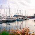 Barcasse : location de bateaux aux Sables d&rsquo;Olonne